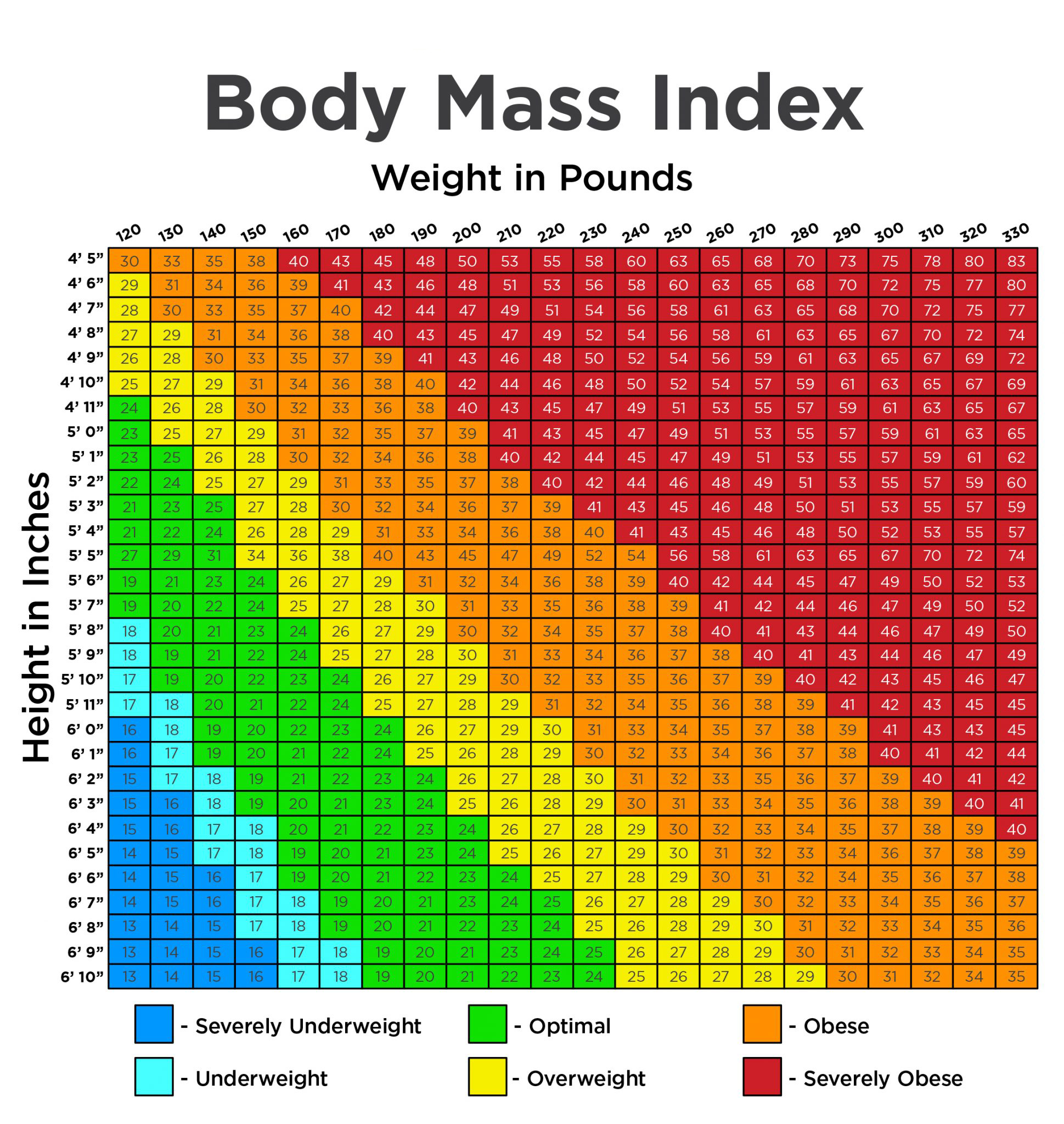 Rango de índice de masa corporal normal