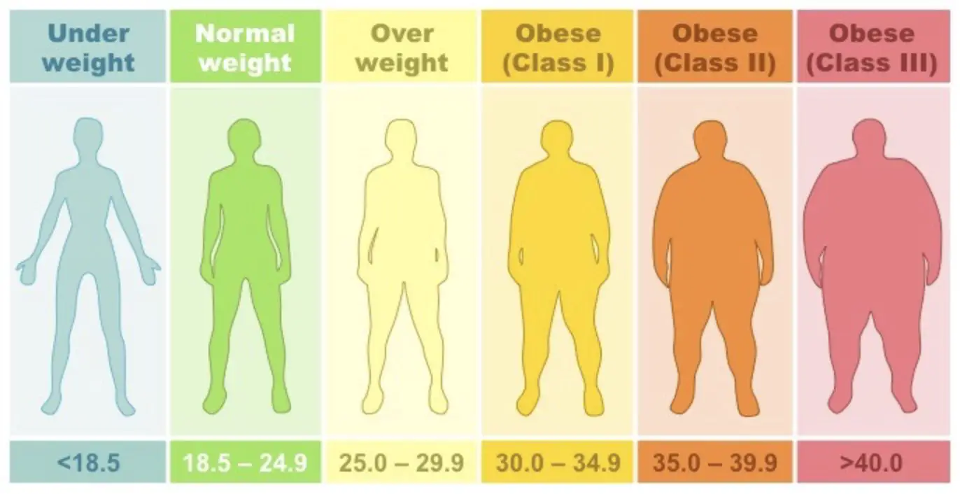 Índice de masa corporal normal
